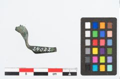 Foto von Bronzekahnfibel (NHMW-PRAE-024022)